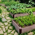 Грядки из композита